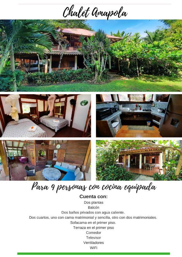 Chalet Y Cabinas Hibiscus Cahuita Ngoại thất bức ảnh