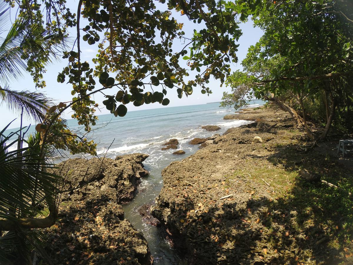 Chalet Y Cabinas Hibiscus Cahuita Ngoại thất bức ảnh